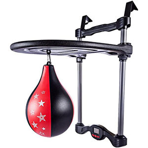 Dunlop Punching Bag with Door Hanger